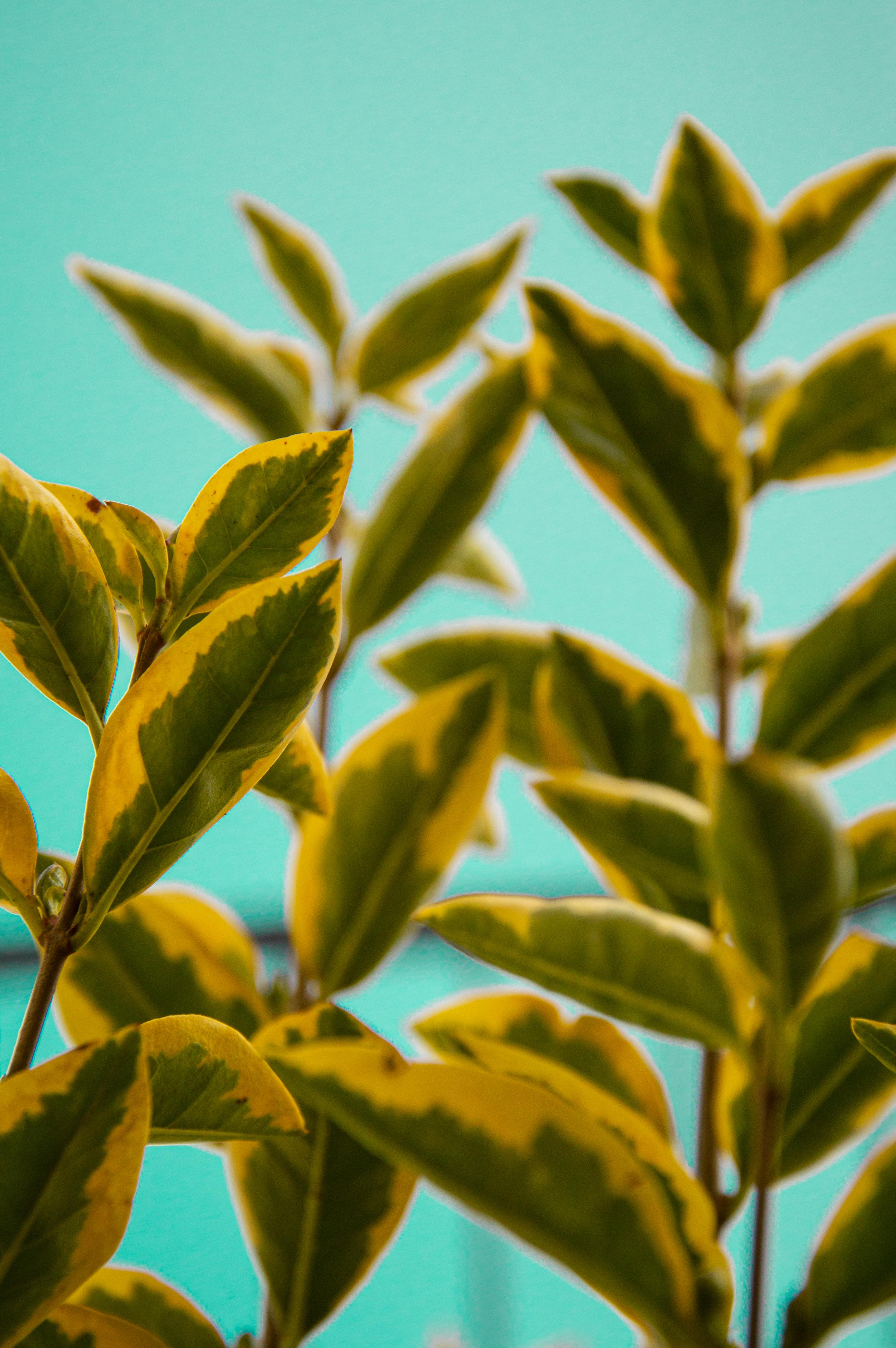 Workload Screenshot 1