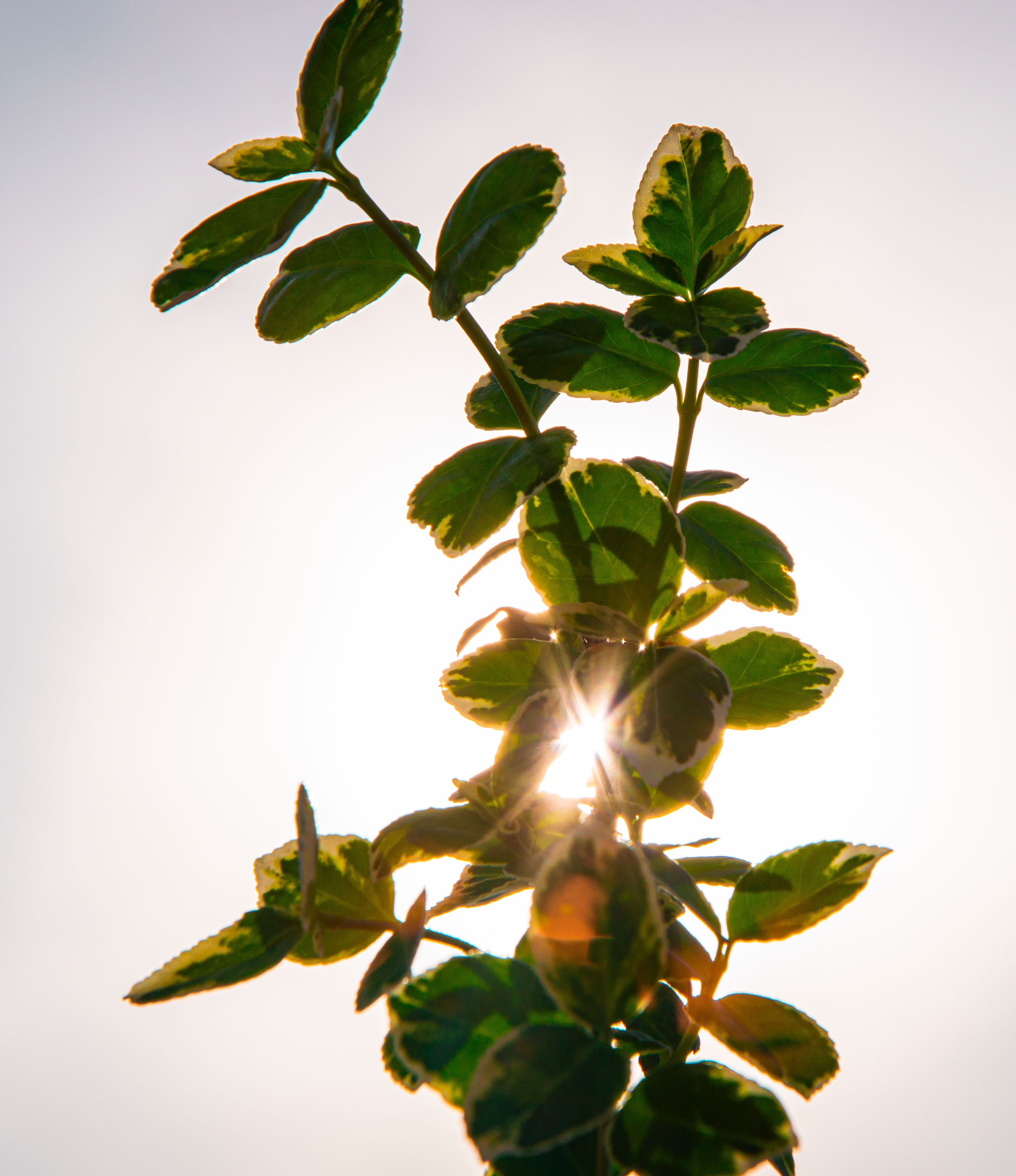 Workload Screenshot 2