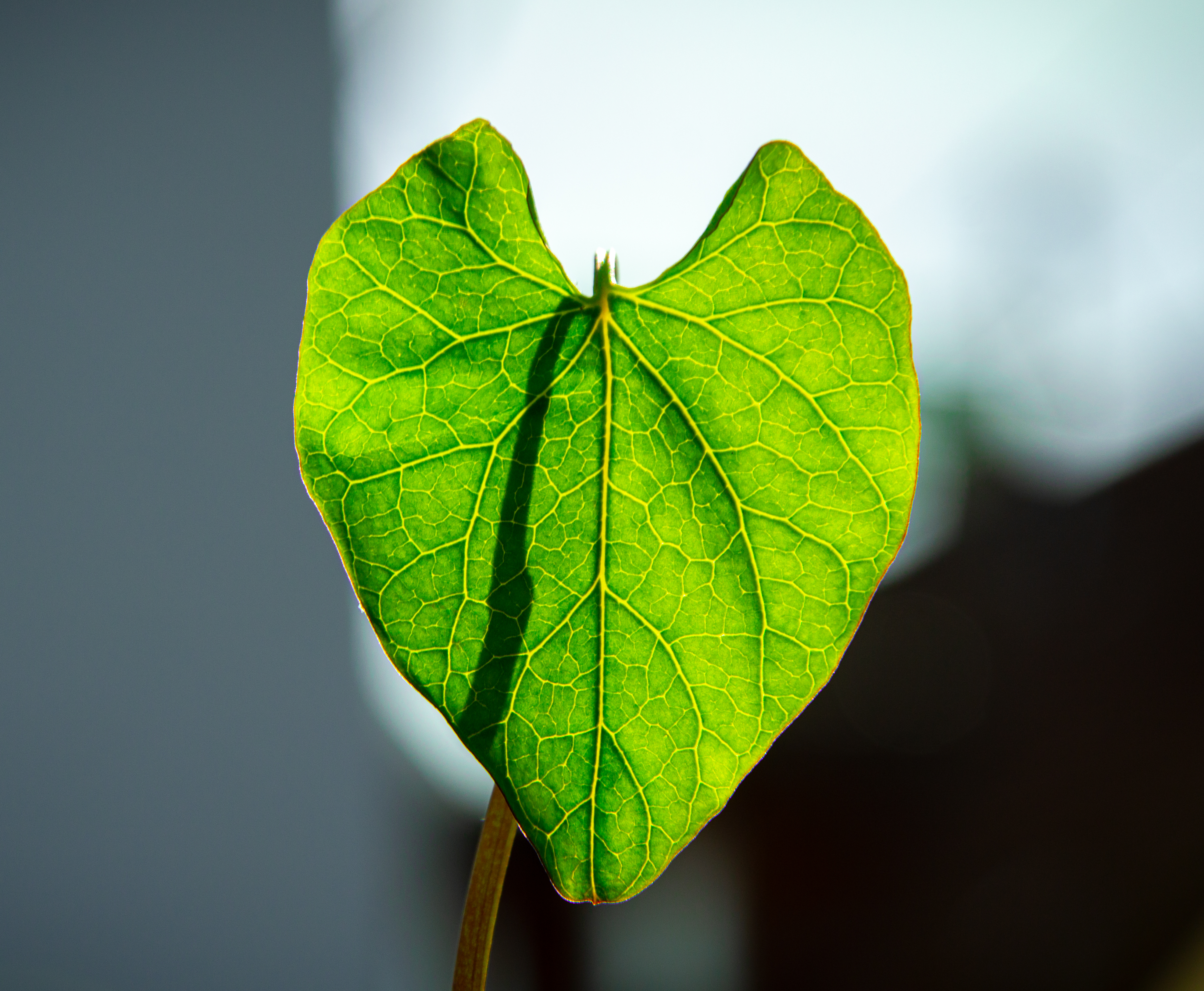 Workload Screenshot 4