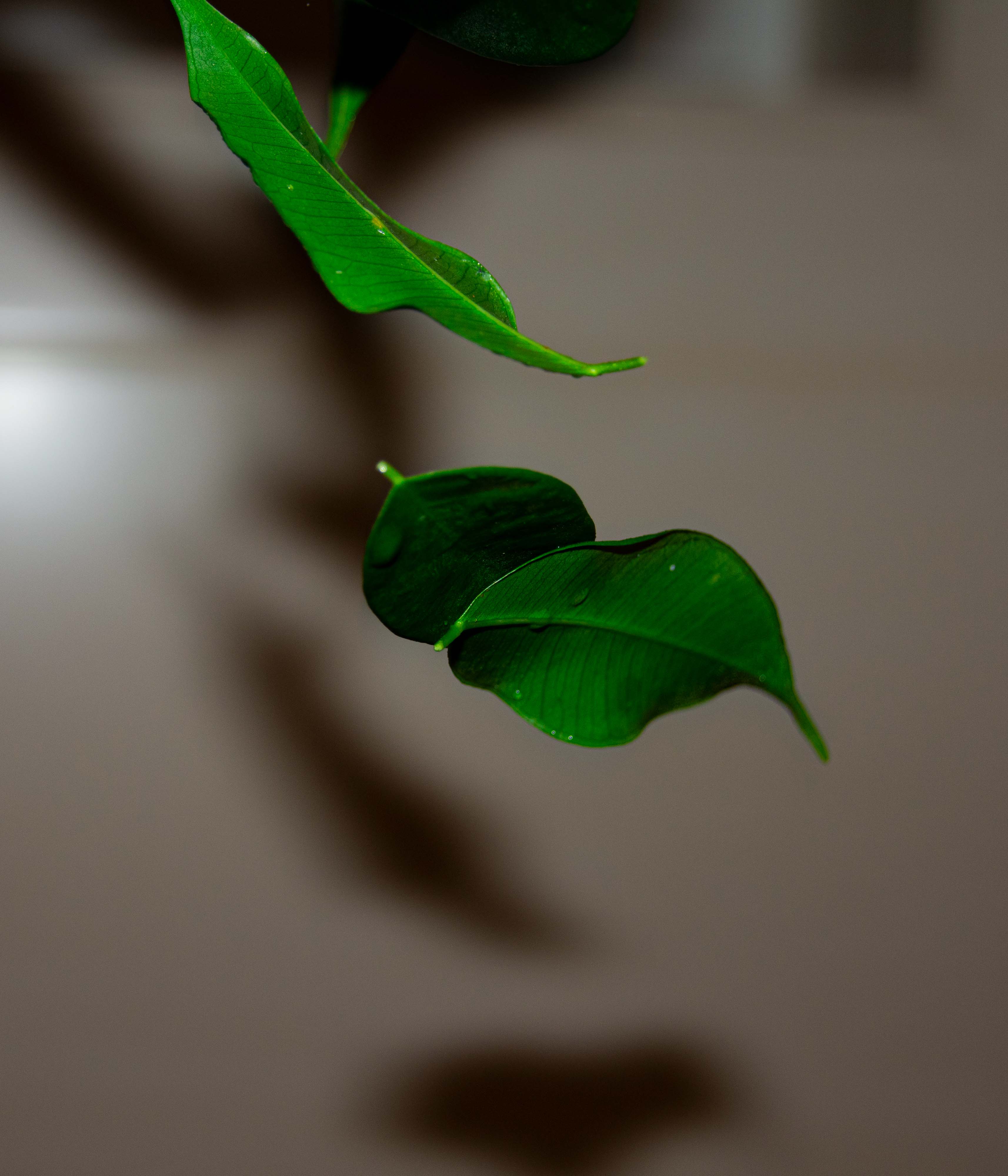 Best of Photography 3