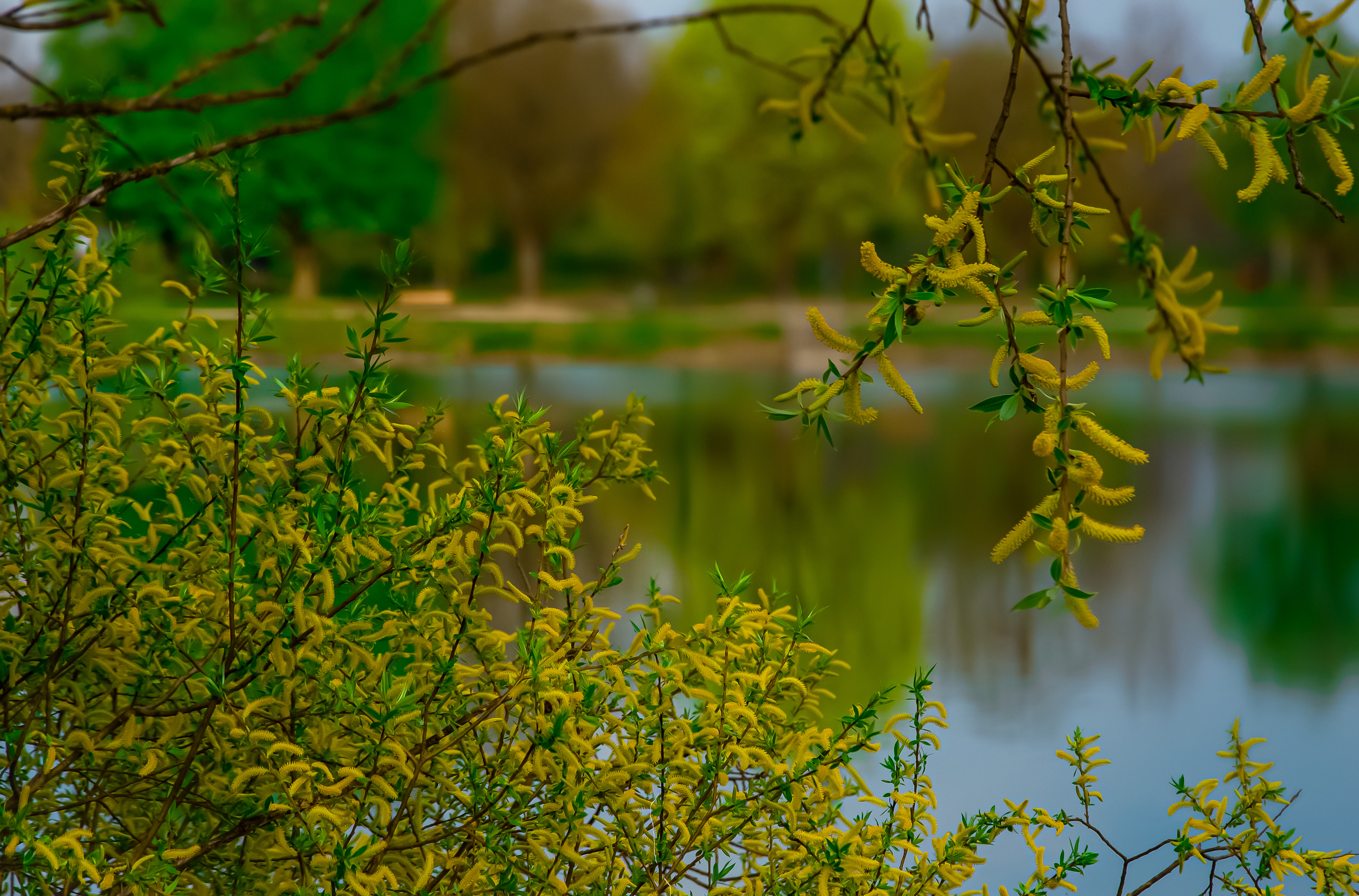 Focus Stacking Photography
